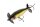 Daiwa Steez Prop 85F 8,5 cm 12,7g Ghost Ayu Search Bait Wobbler mit Propeller