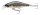 Cormoran Cor SP1 5cm / 3g Wobbler Brown Trout Ultralightk&ouml;der Forellenwobbler