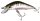 Cormoran Cor F 11 6cm / 3g Wobbler Striped Seed Minnow K&ouml;der Forelle Barsch