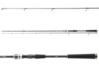 Daiwa Exceler Spin Seatrout 3,15m 15-40g Meerforellenrute...