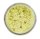 Powerbait Dough Natural ScentGarlic - Yellow