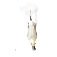 Savage Gear 3D Hollow Duckling weedless S 7.5cm 15g 04-White