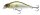 Daiwa Prorex Flat Minnow 50SS Wobbler 5,0cm / 4,8g Barsch Forelle Rapfen K&ouml;der