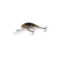 Savage Gear 3D Goby Crank 40 3.5g F 01-Goby Wobbler SALE