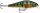 Rapala SUPER SHADOW RAP 16 PEL 16cm 77g Wobbler