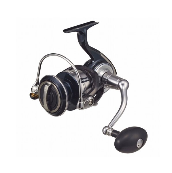 Daiwa Certate SW 8000 P Salzwasser Spinnrolle, 479,99 €