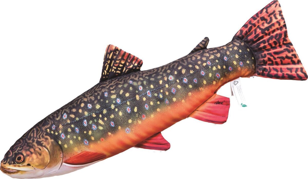 Fisch Kissen Geschenk Angler Kuscheltier Kopfkissen Plüschtier Bachsaibling 35cm 
