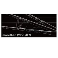 Daiwa Morethan Wisemen AGS 90L 2,74m 5-24g