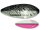 Cormoran Innerline Trout Spoon Toro ULi 1 - 4.4 holo silver Forellenblinker