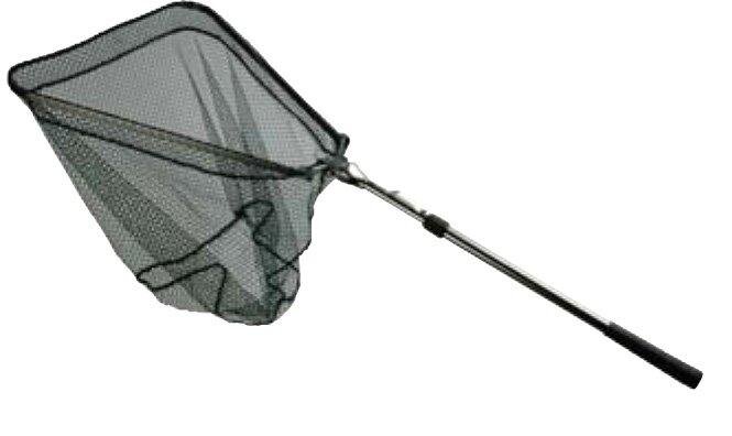 A&M Angelsport DE